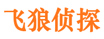 泾县市侦探调查公司